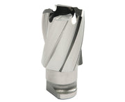 HOUGEN ROTALOC CUTTER 20MM X 19MM