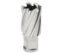HOUGEN 12,000 SERIES CUTTER 25X 25MM